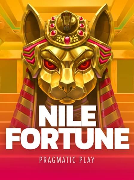 Experience the Thrill of Live Gaming at VivaLive Casino